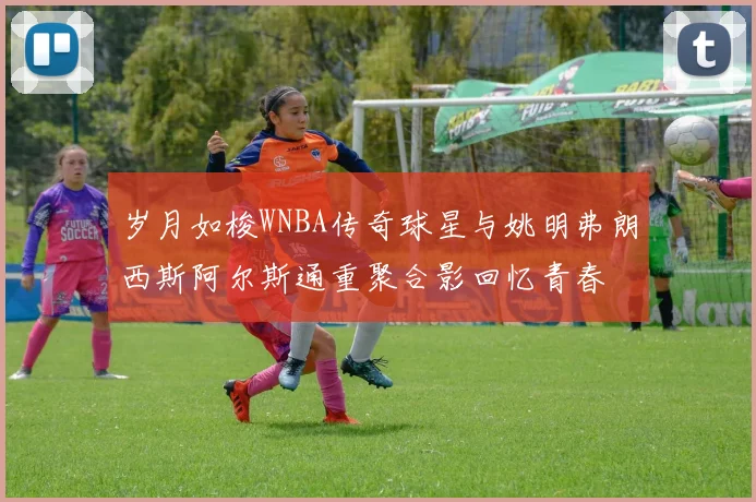 岁月如梭WNBA传奇球星与姚明弗朗西斯阿尔斯通重聚合影回忆青春